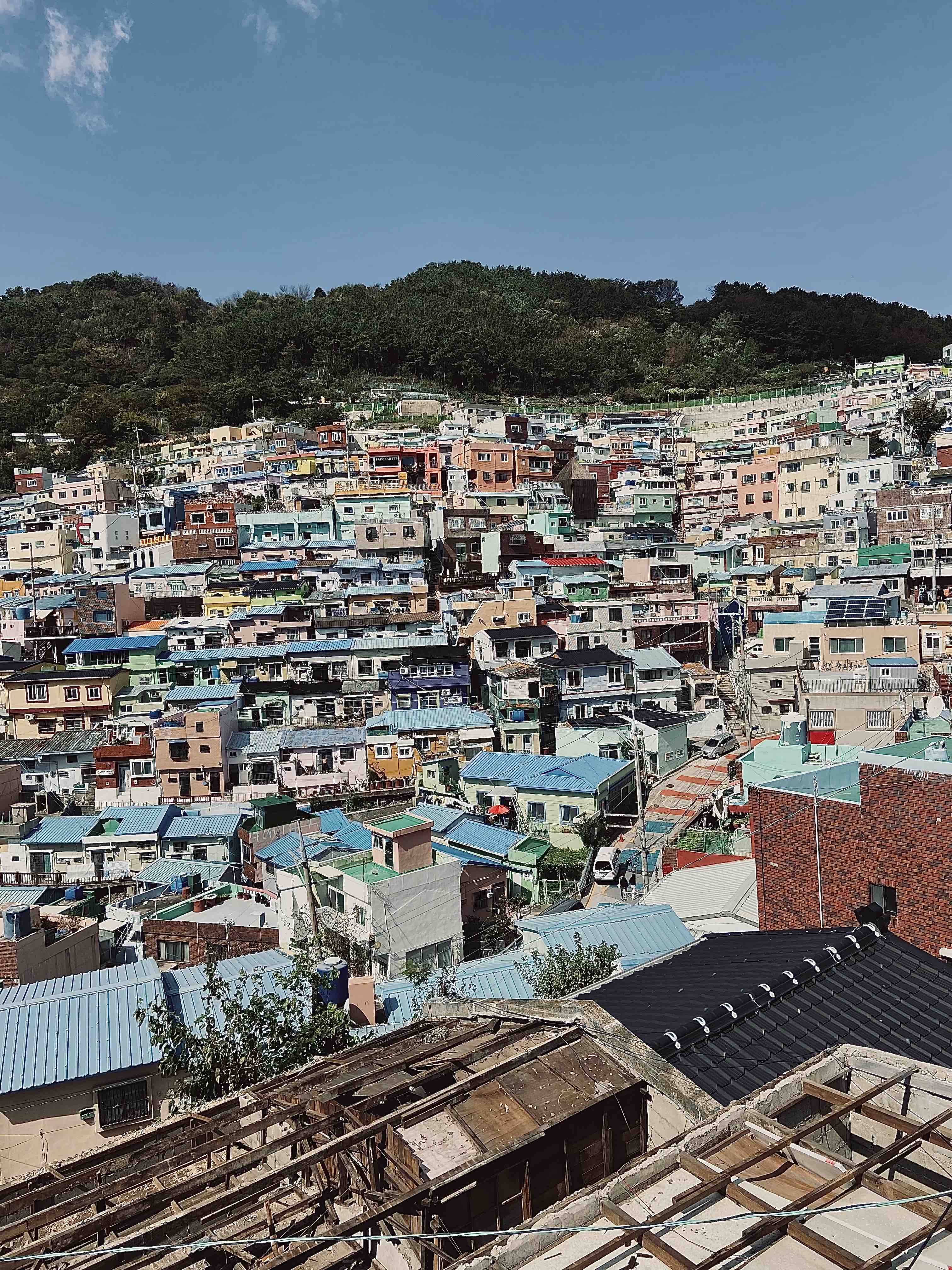 Busan (South Korea)